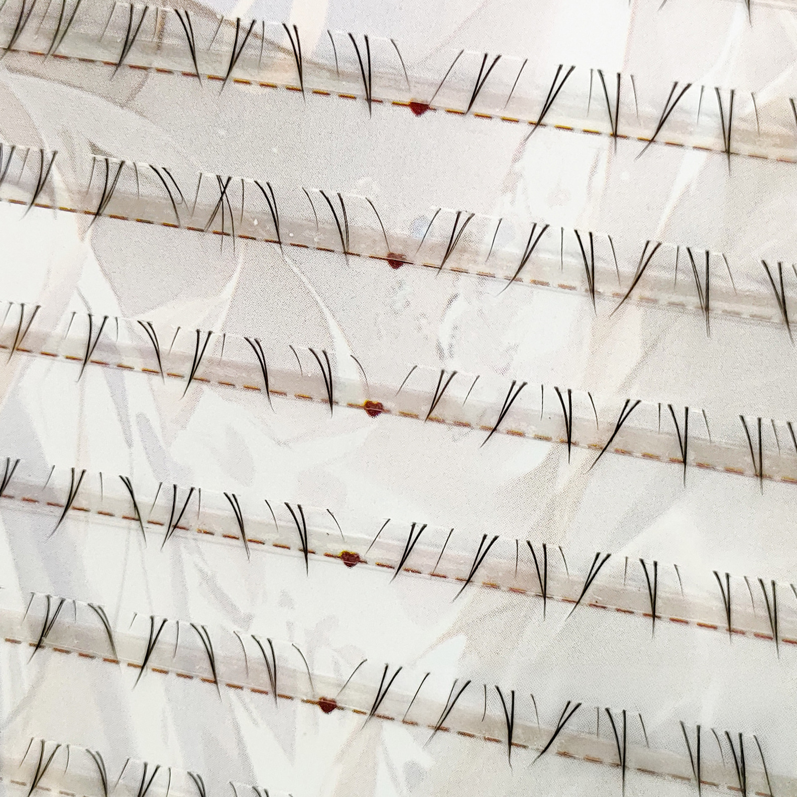 Soft Manga Bottom Lower Eyelas - Eyelash Extensions ulasan dan harga