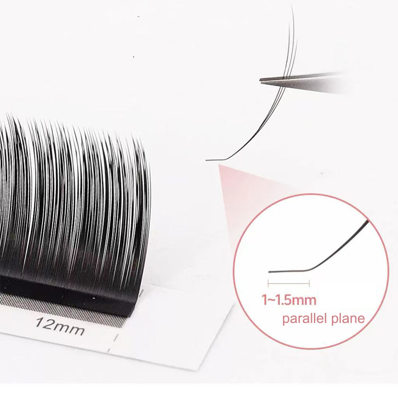 dream ballet Camellia Lashes w - Eyelash Extension For Asian Eyes ulasan dan harga