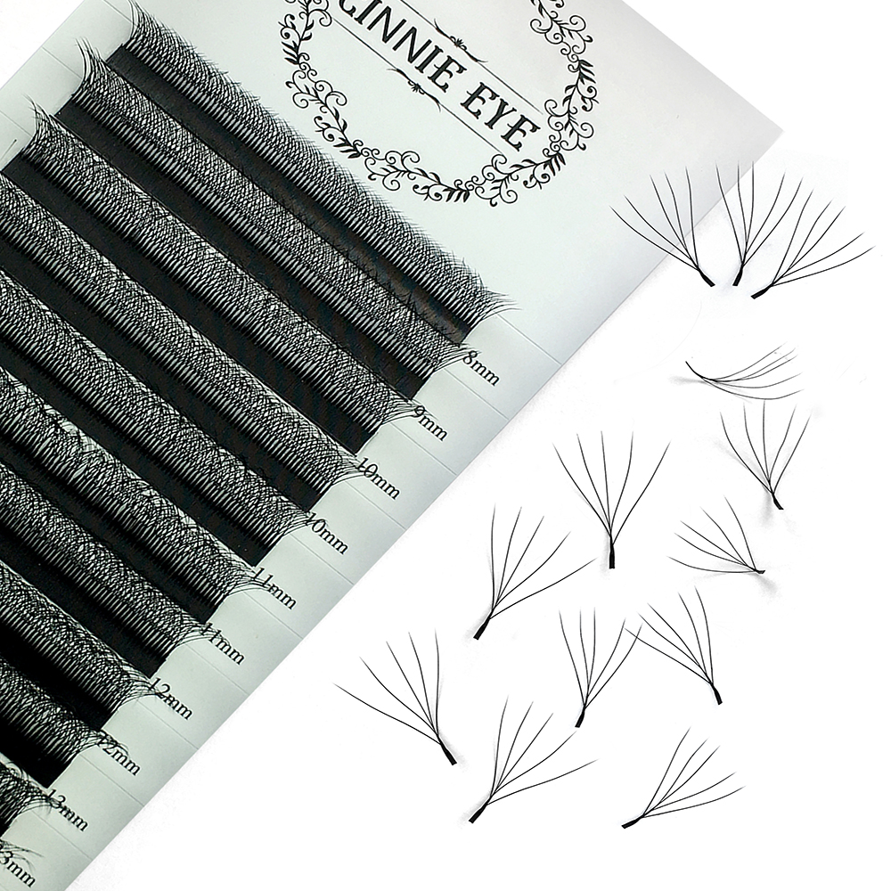 6DW Lash Extensions 5DW Premad - Eyelash Extension Logo ulasan dan harga