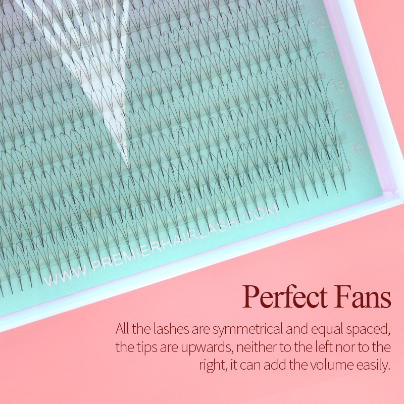 Song Lashes 3D8D10D Pointy Bas - Lash Fan Volume ulasan dan harga