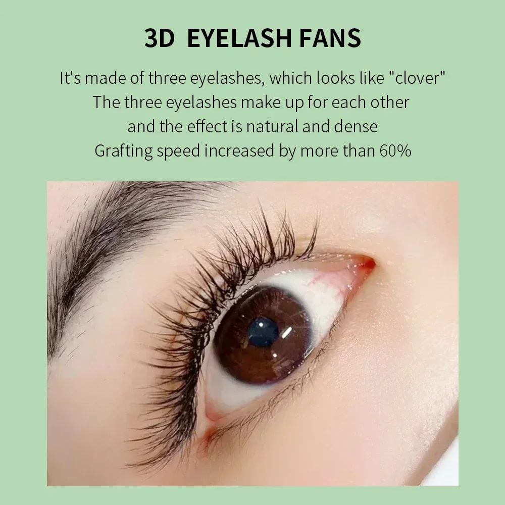 GLAMLASH 3D W Three-Core Shape - Eyelash Extension For Asian Eyes ulasan dan harga