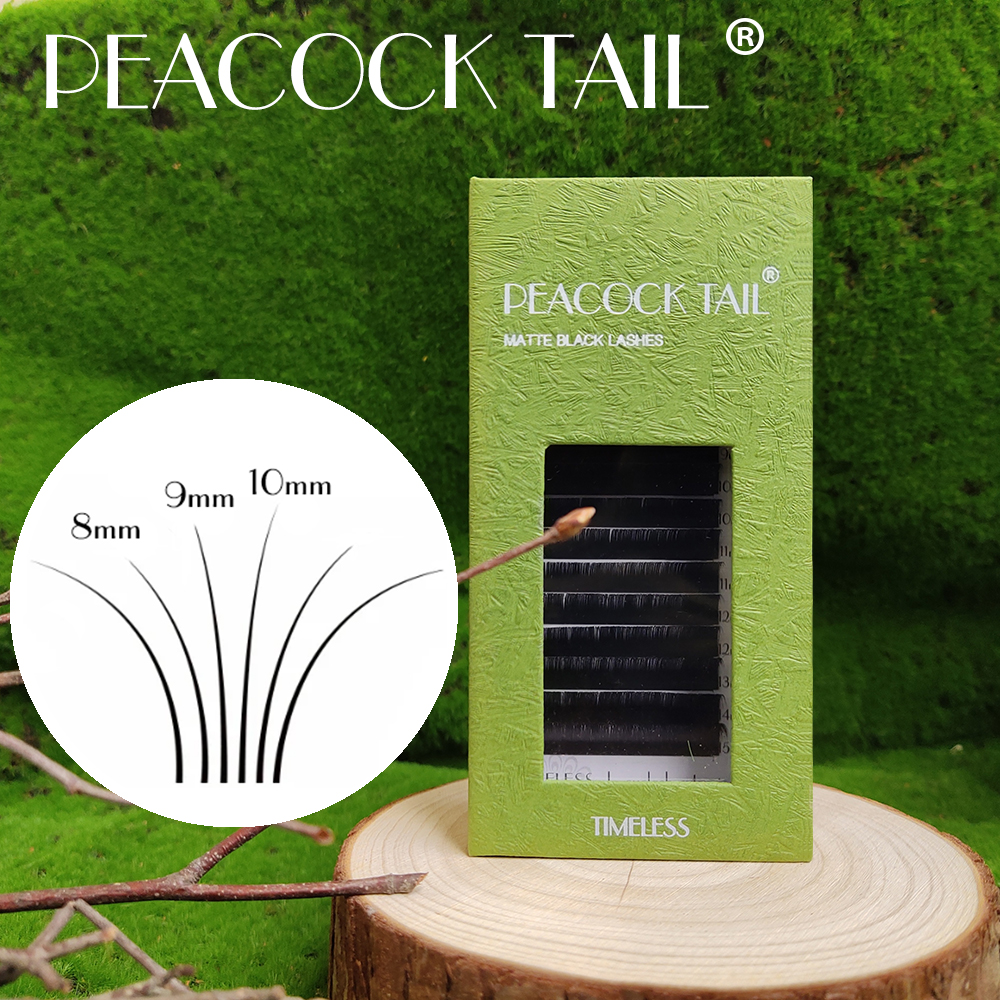 Camellia  Eyelashes Extensions - Eyelash Extension Logo ulasan dan harga